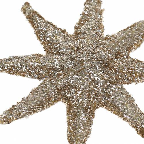 Floristik24 Dekorativ stjerneglitter champagne 5cm 20 stk
