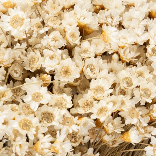 gjenstander Tørket blomsterbukett, delikate blomster for naturlig hjemmedekorasjon, 44 cm