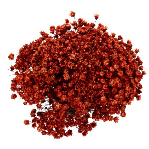 gjenstander Tørket blomsterbukett, et sjarmerende tillegg til vaser eller arrangementer, 44 cm