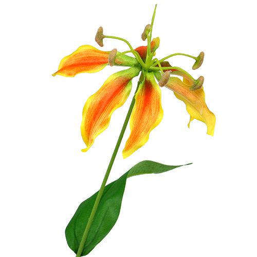 Floristik24 Gloriosa gren oransje-gul 90cm 1stk