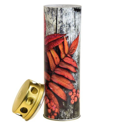 Floristik24 Gravlys sorglys høstmotiv farge Ø6cm H20cm 6 stk.