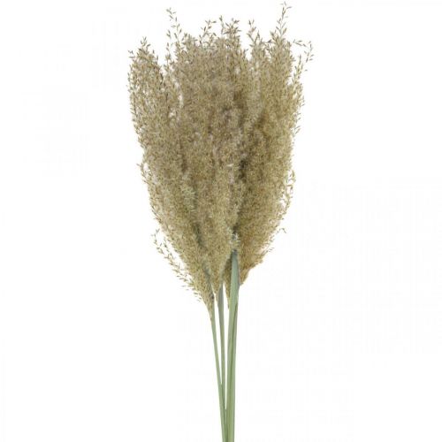Floristik24 Tørket gress prydgress for tørr floristisk dekorasjon natur H55cm