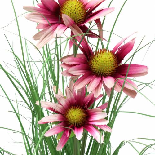 Floristik24 Kunstgress med Echinacea i en rosa gryte på 44 cm