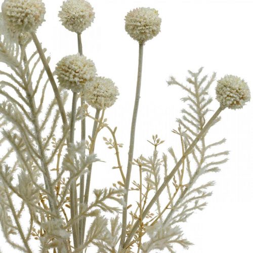 gjenstander Tørt gress kunstig pampas gress allium krem, beige H60cm