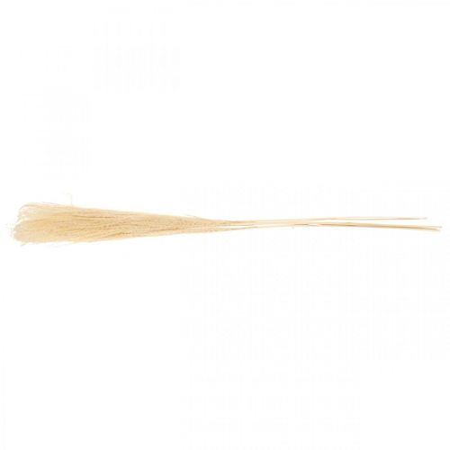 Floristik24 Tørket dekorativt gress naturlig prydgress tørr dekorasjon 6 stengler