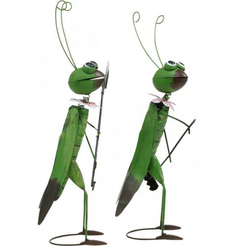 Floristik24 Grasshopper hage figur metall dekorasjon cricket med rake og spade H33 cm sett med 2