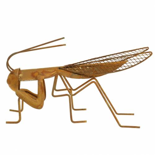 Floristik24 Hagepyntgitter rustfritt stål metall 14,5cm