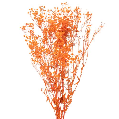 Tørkede blomsterbuketter med babypust Gypsophila 75 cm 100 g
