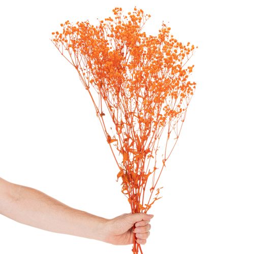 Tørkede blomsterbuketter med babypust Gypsophila 75 cm 100 g | Floristik24.no