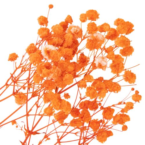 Tørkede blomsterbuketter med babypust Gypsophila 75 cm 100 g | Floristik24.no