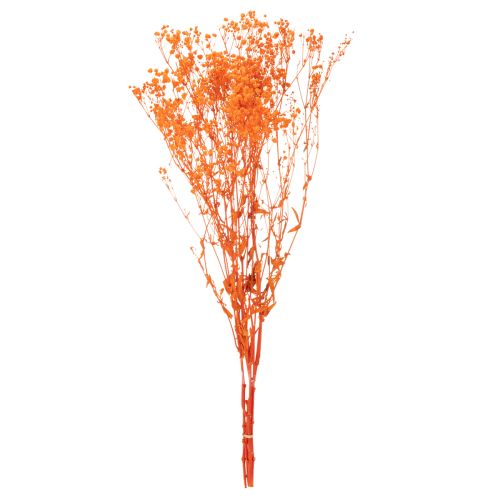Tørkede blomsterbuketter med babypust Gypsophila 75 cm 100 g | Floristik24.no