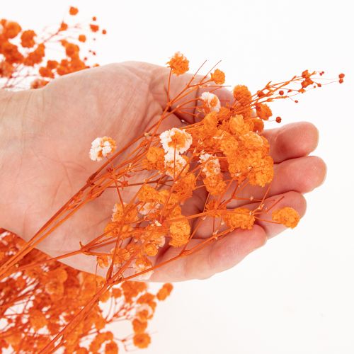 Tørkede blomsterbuketter med babypust Gypsophila 75 cm 100 g | Floristik24.no