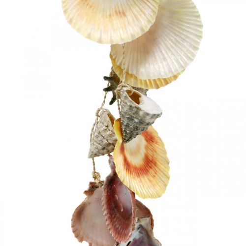 Floristik24 Kokosbolle med skall, naturlig planteskål, kokosnøtt som hengende kurv Ø13,5/11,5cm, sett med 2 stk.