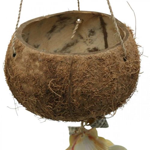 gjenstander Kokosbolle med skall, naturlig planteskål, kokosnøtt som hengende kurv Ø13,5/11,5cm, sett med 2 stk.