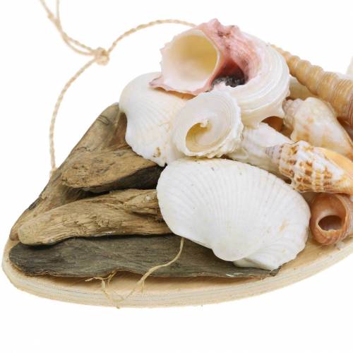 Floristik24 Maritim dekorasjon for oppheng av fisk med skjell tre 18cm