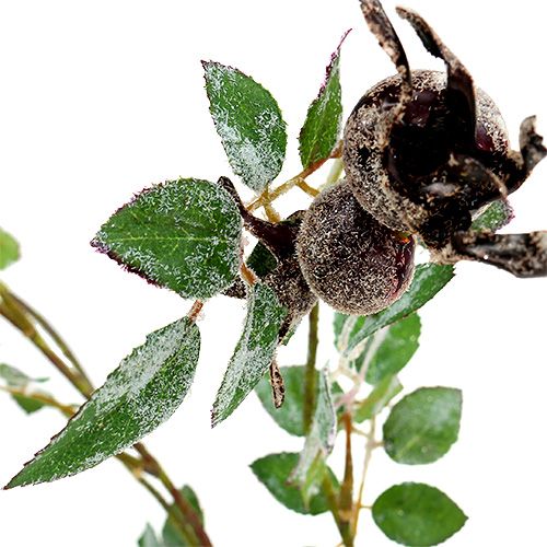 Floristik24 Hyben gren L92cm med snø