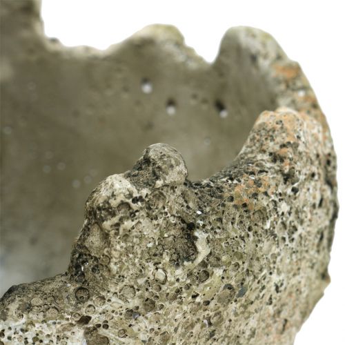 Floristik24 Betongkule for planting Ø15cm H13,5cm