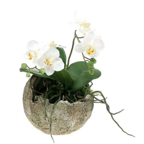 Floristik24 Betongkule for planting Ø15cm H13,5cm