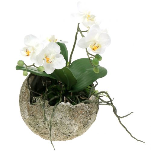 Floristik24 Betongkule for planting Ø17cm H17,5cm