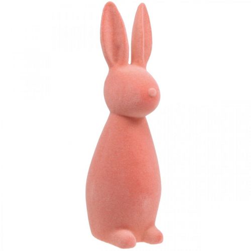 Floristik24 Deco bunny flokket aprikos, vårpynt, påskehare H42cm