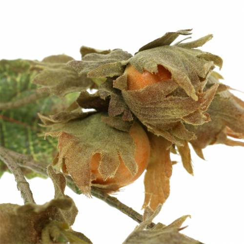 Floristik24 Hasselnøttgren grønn / brun 84cm