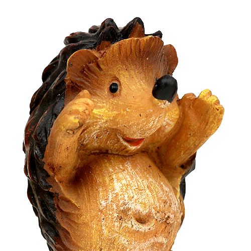 Floristik24 Høstdekorasjon pinnsvinblanding 6cm brun 6stk