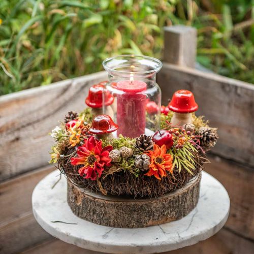 Floristik24 Høstdekorasjon deco sopp laget av tre Røde tresopp H5-7cm 6 stk.