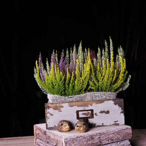 Floristik24 Planter tre skuff antikk grå 27cm x 13cm