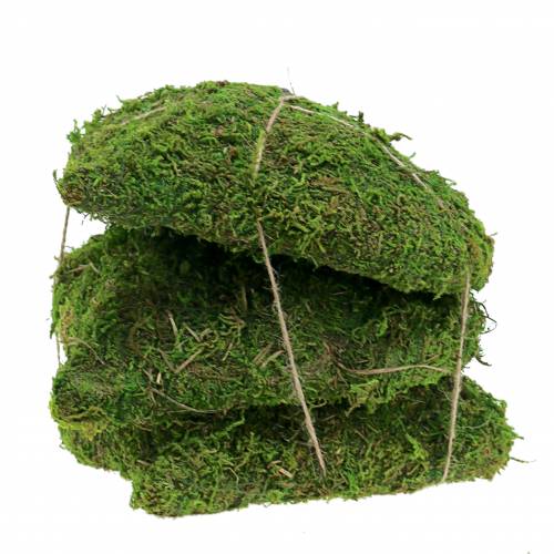 Floristik24 Mos hjertegrønn 20cm 3stk