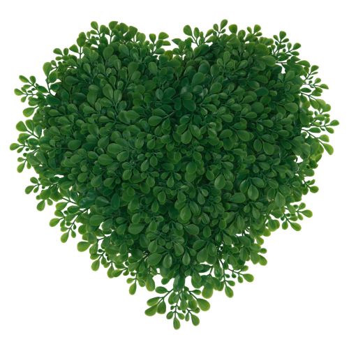 Floristik24 Dekorativ hjerte buksbom kunstig dekorativ matte grønn 30,5cm