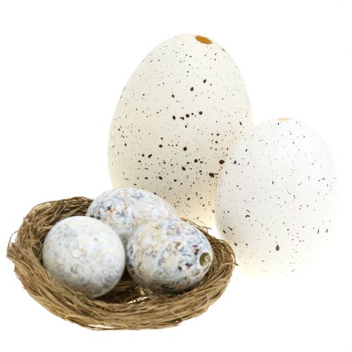 Floristik24 Eggsortiment gås, kylling og vaktel 3,5cm – 8cm 12stk