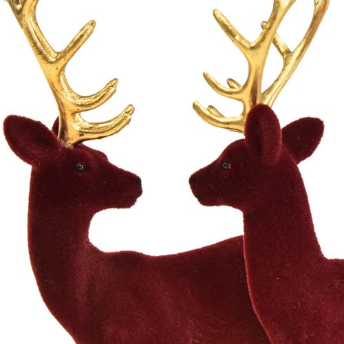 Floristik24 Deer Deco Reindeer Bordeaux gullkalveflokket 20 cm sett med 2