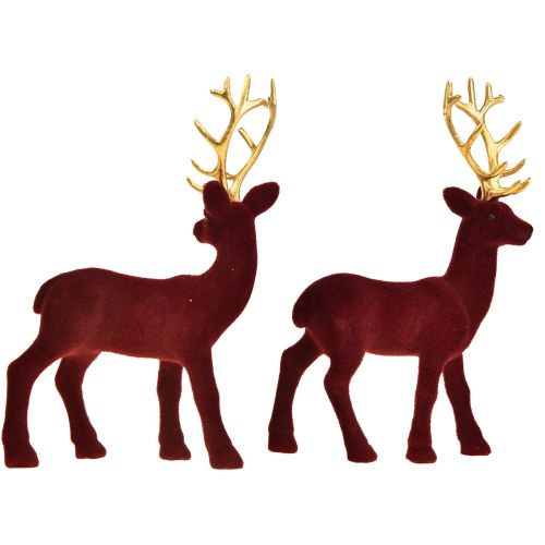 Floristik24 Deer Deco Reindeer Bordeaux gullkalveflokket 20 cm sett med 2