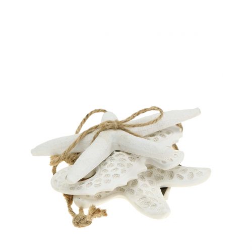 Floristik24 Deco hanger sjøstjerner, sjøhest 12cm 3stk