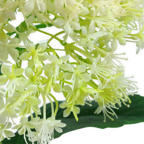 Floristik24 Eldre Hvit 42cm