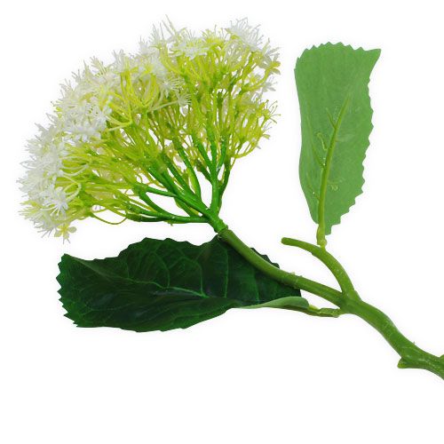 Floristik24 Eldre Hvit 42cm