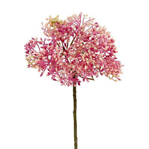 Elderflower gren rosa-hvit L 55cm 4stk