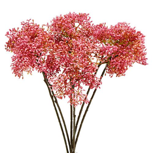 Elderflower gren rosa 54,5cm 4stk
