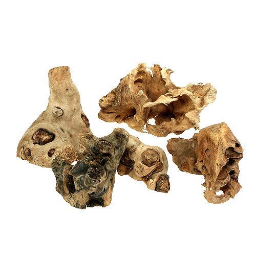 Trerøtter naturlig 8cm - 10cm 500g