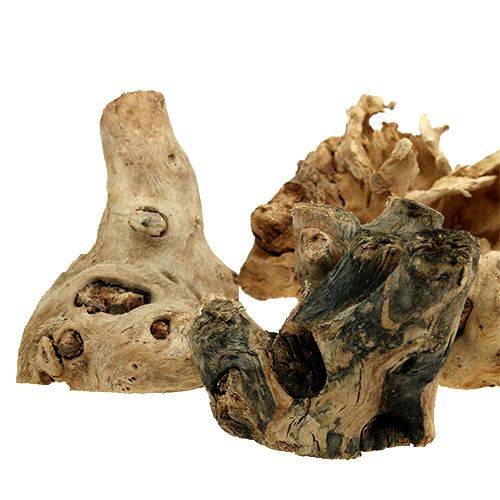 Floristik24 Trerøtter naturlig 8cm - 10cm 500g