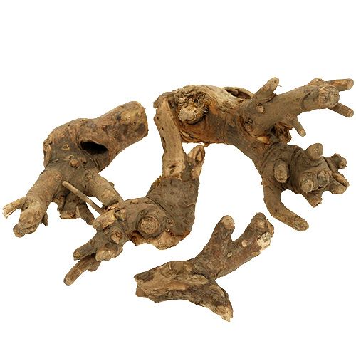 Floristik24 Trerøtter naturlig blanding 500g