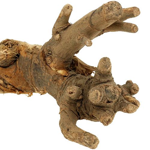 Floristik24 Trerøtter naturlig blanding 500g