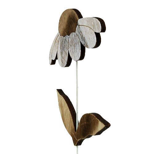 Floristik24 Treblomst natur 27cm x 12cm 2stk