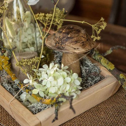 Floristik24 Tresopp med mønster deco sopp naturlig, gull tre deco Ø10cm H13cm