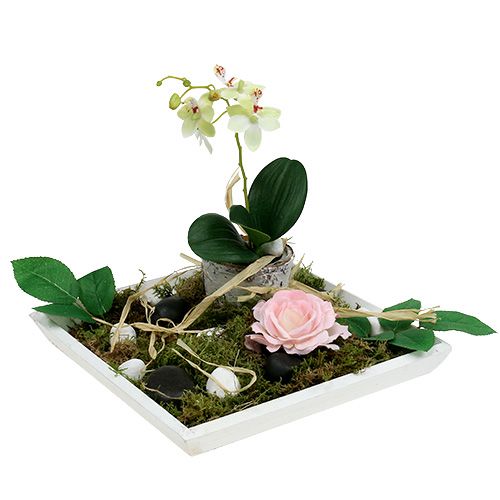 Floristik24 Trebolle 25cm x 25cm i hvitt