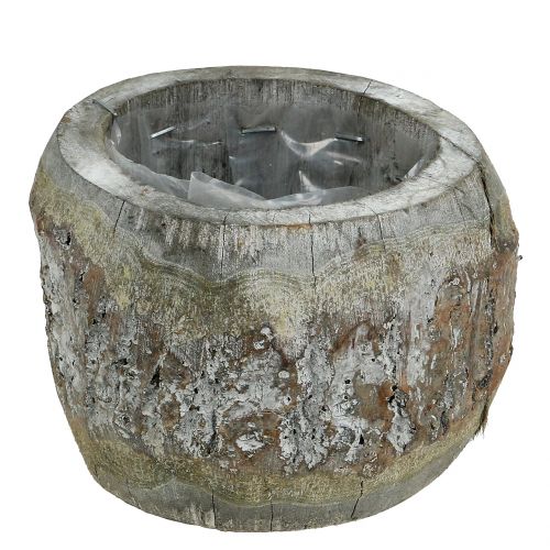 Floristik24 Trekrukke til planting Hvitvasket Ø14cm