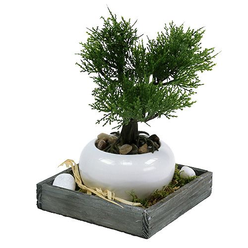 Floristik24 Trebrett grått 14 cm x 14 cm x 3 cm 5 stk