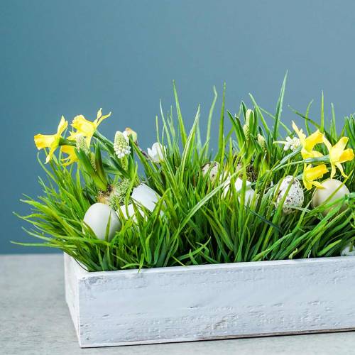 Floristik24 Shabby Chic trebrett hvit rektangulær 37,5 cm x 14,5 cm H6,3 cm