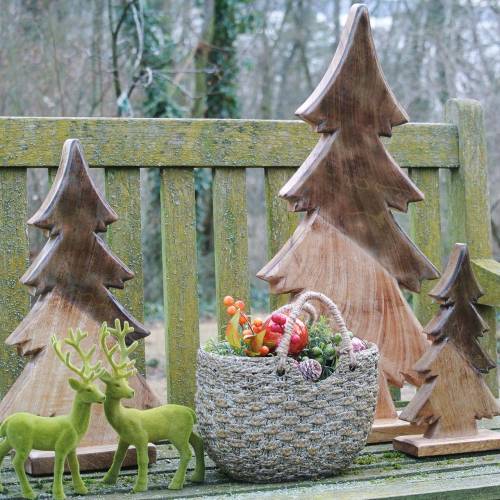 Floristik24 Tregranglasert naturlig, hvit mangotre H29cm