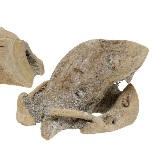 Floristik24 Trerot grå vasket 500g